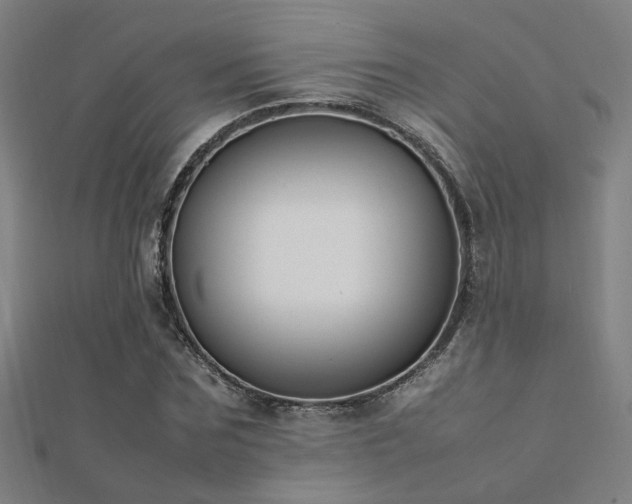 X0000112400875200908141337
