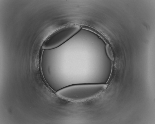 X0000112400877200908141337