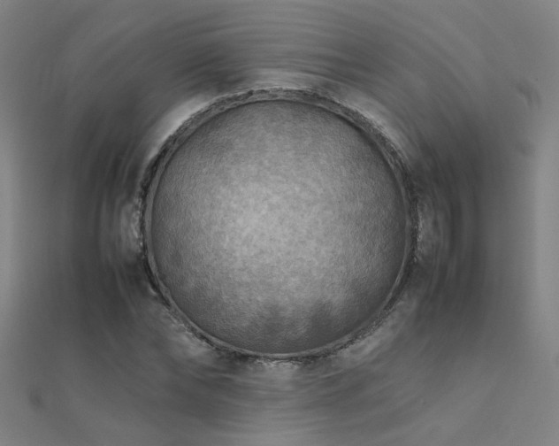 X0000112400878200908141337