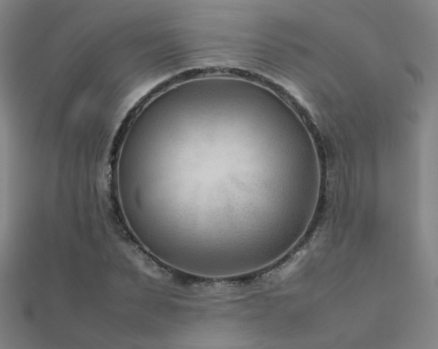 X0000112400879200908141337
