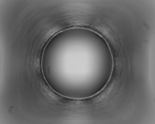 X0000112400881200908141337