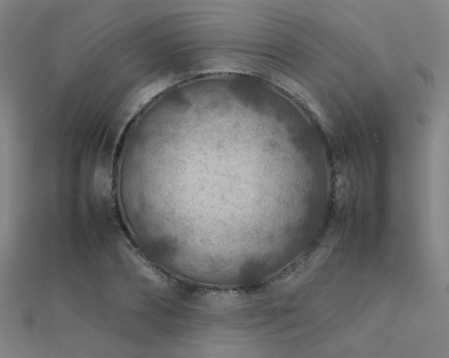 X0000112400882200908141337