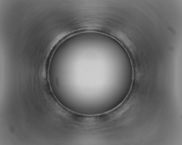 X0000112400883200908141337