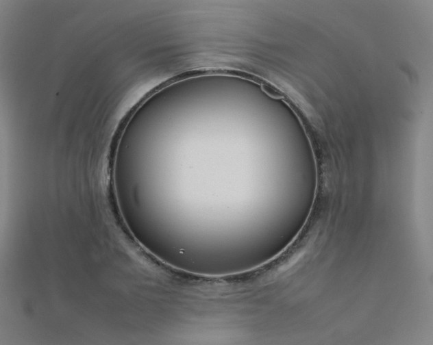 X0000112400885200908141337