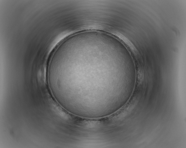 X0000112400886200908141337