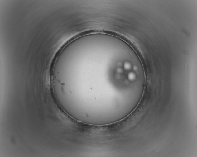 X0000112400887200908141337