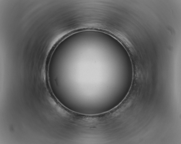X0000112400888200908141337