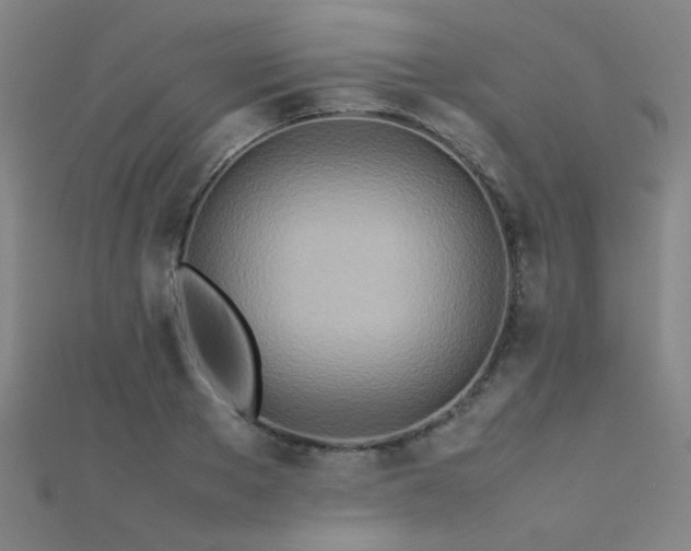 X0000112400889200908141337