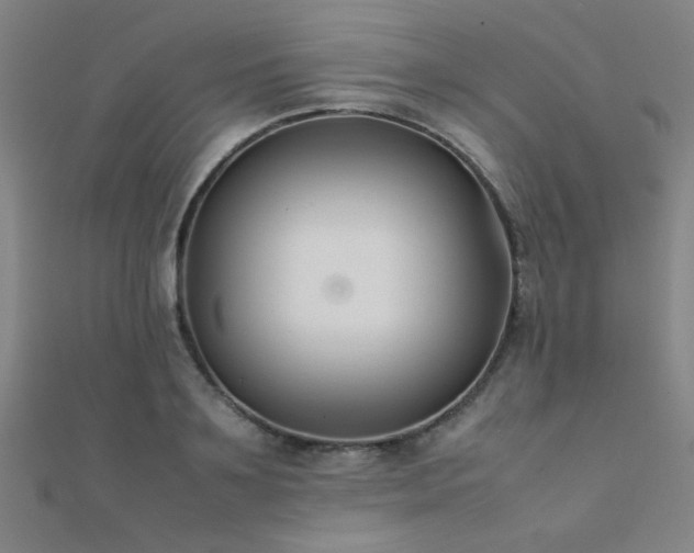 X0000112400891200908141337