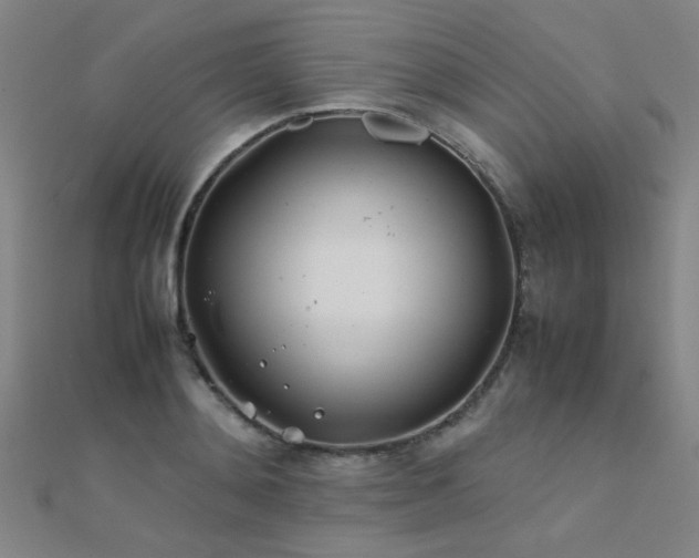 X0000112400892200908141337