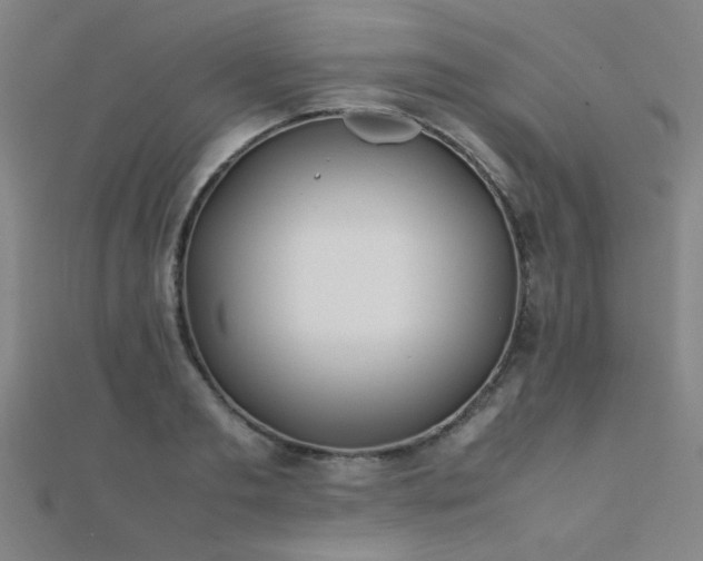X0000112400893200908141337