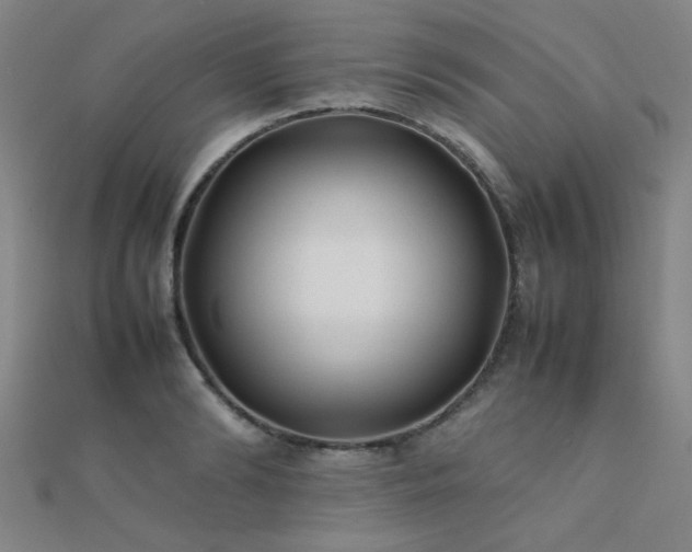 X0000112400894200908141337