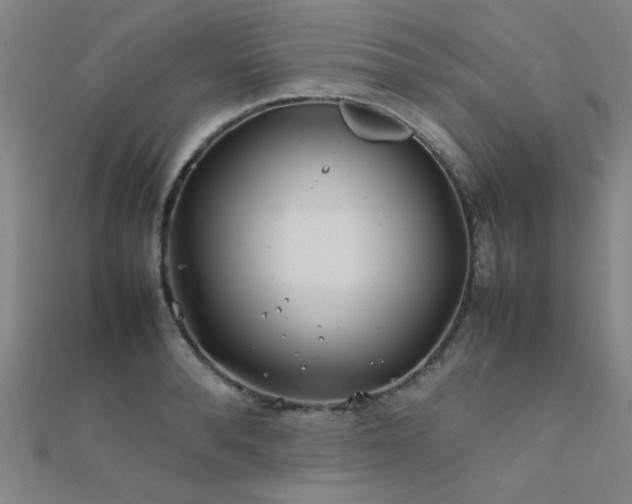 X0000112400896200908141337