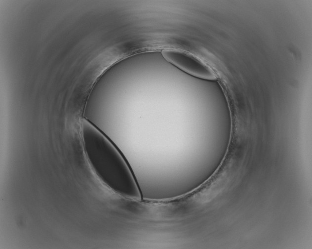 X0000112400897200908141336