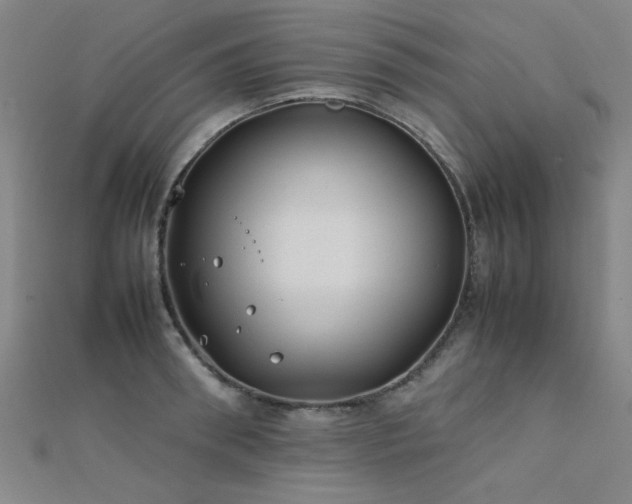 X0000112400898200908141336