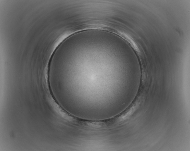 X0000112400899200908141336