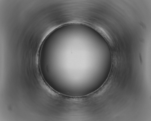 X0000112400900200908141336