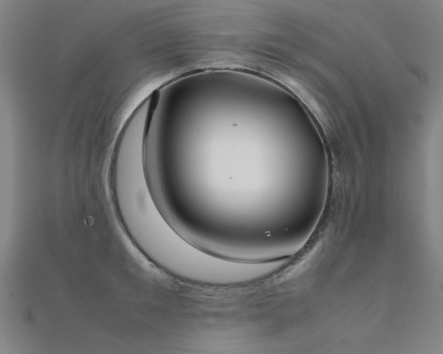 X0000112400901200908141336