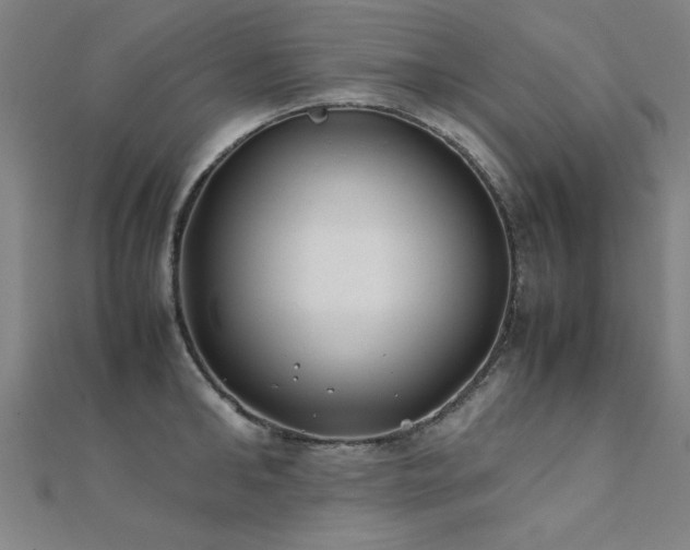 X0000112400902200908141336