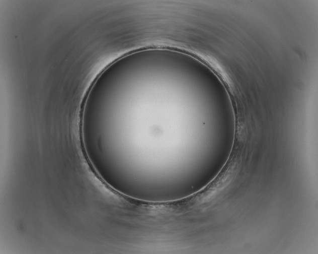 X0000112400903200908141336