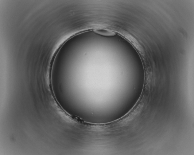 X0000112400904200908141336