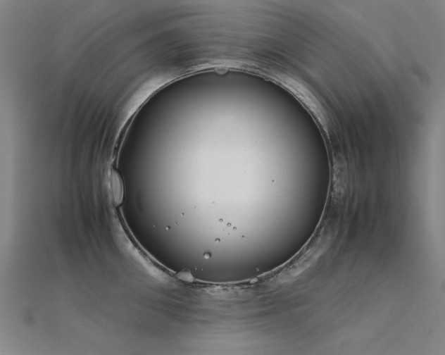 X0000112400906200908141336