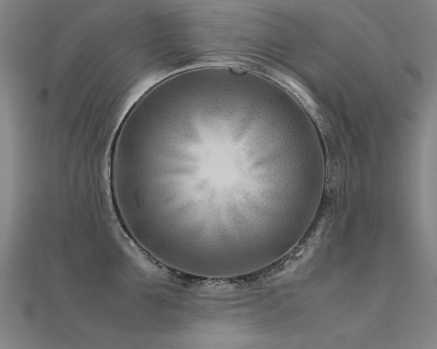 X0000112400907200908141336