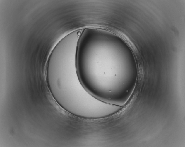 X0000112400908200908141336