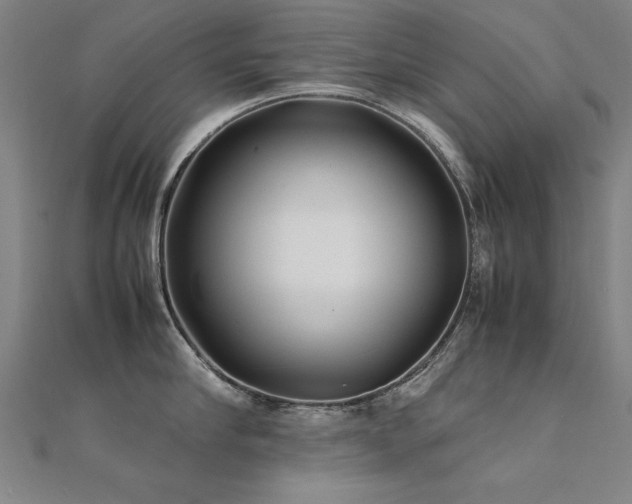 X0000112400910200908141336