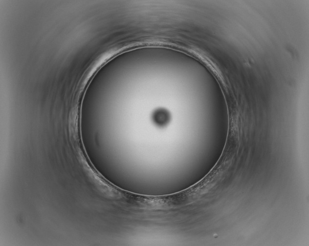 X0000112400911200908141336