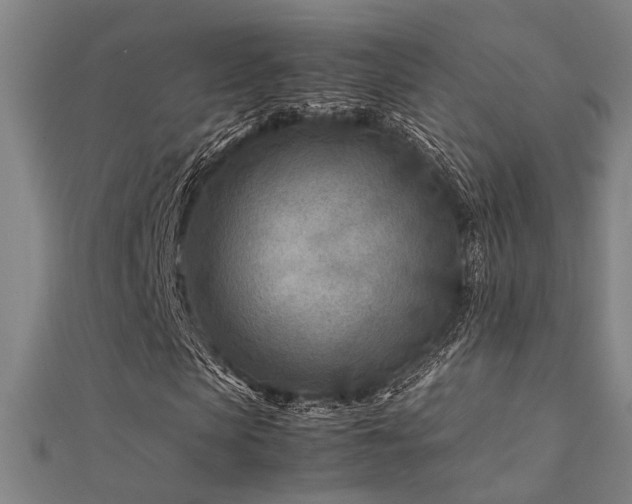 X0000112400913200908141336