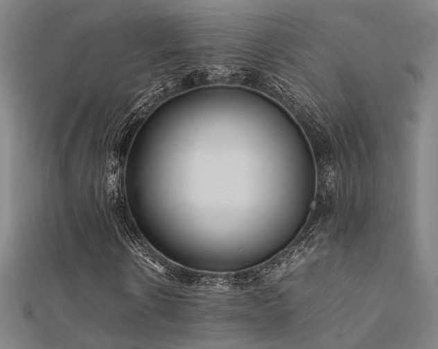 X0000112400914200908141336
