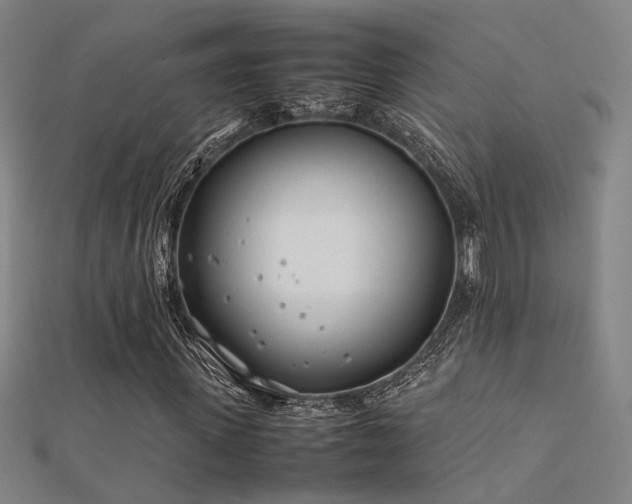 X0000112400915200908141336