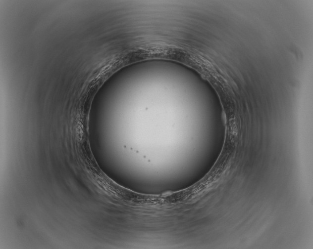 X0000112400916200908141336