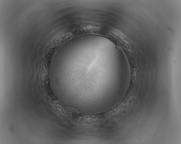 X0000112400917200908141336