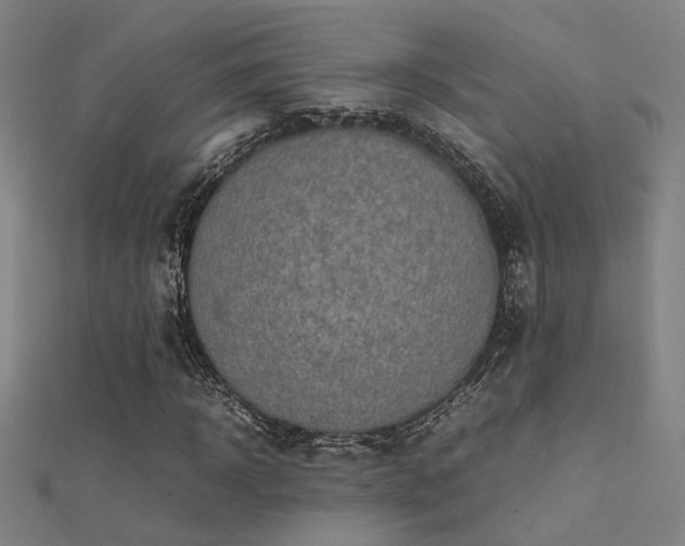 X0000112400918200908141336