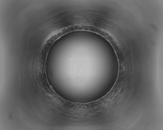 X0000112400919200908141336