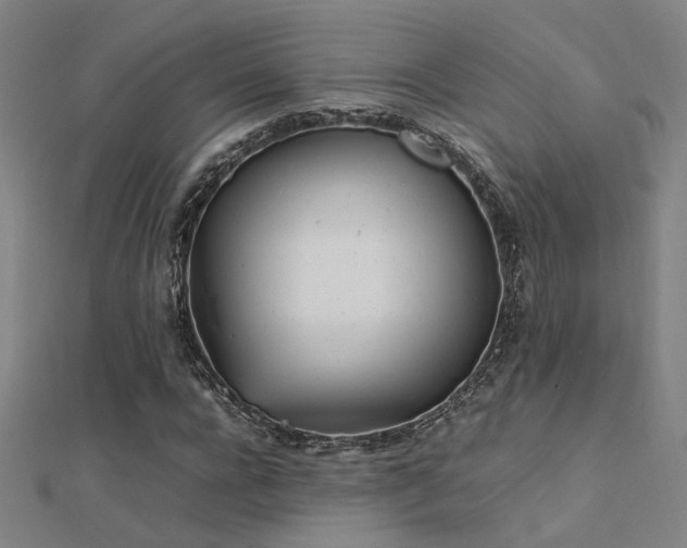 X0000112400920200908141336