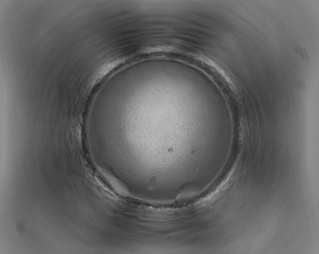 X0000112400921200908141336