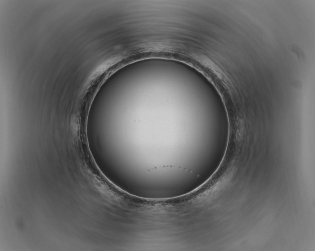 X0000112400922200908141336