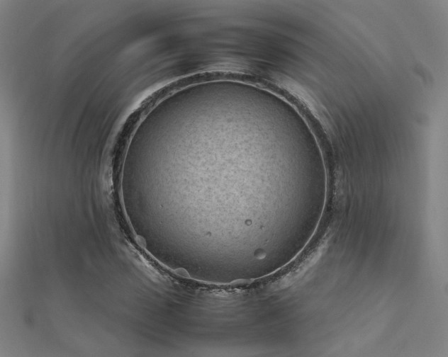 X0000112400923200908141336
