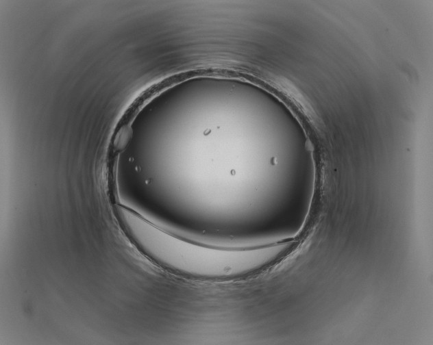 X0000112400924200908141336