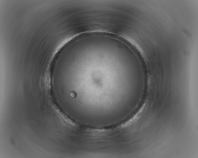X0000112400925200908141336