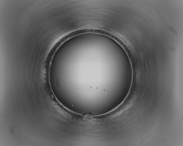 X0000112400926200908141336