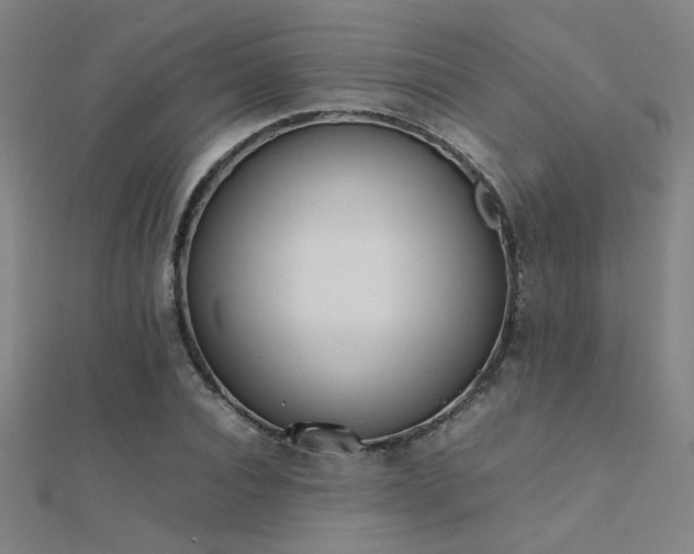 X0000112400928200908141336