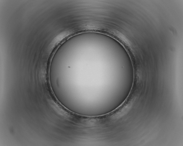 X0000112400930200908141336