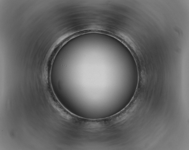 X0000112400931200908141336