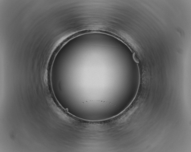 X0000112400932200908141336