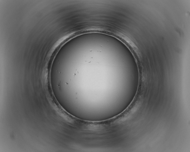 X0000112400933200908141336