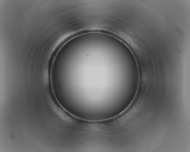 X0000112400934200908141336